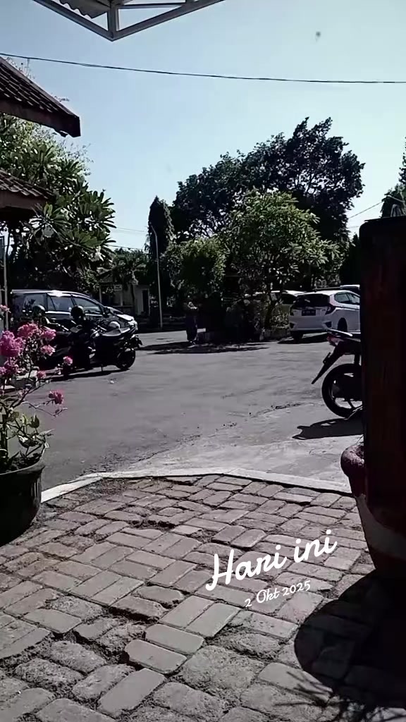 @Dalijan_ajuz