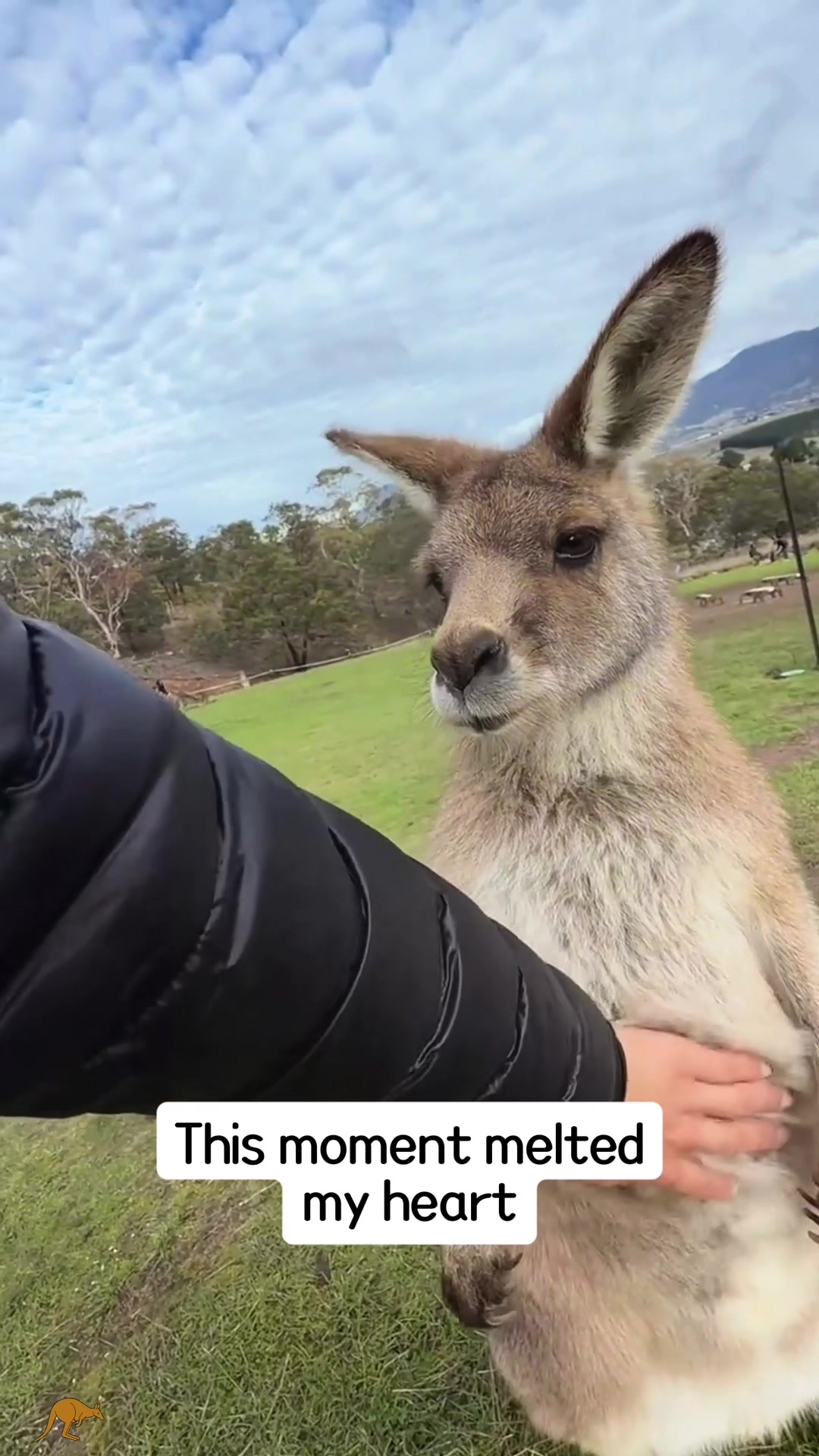 @SneakyFails