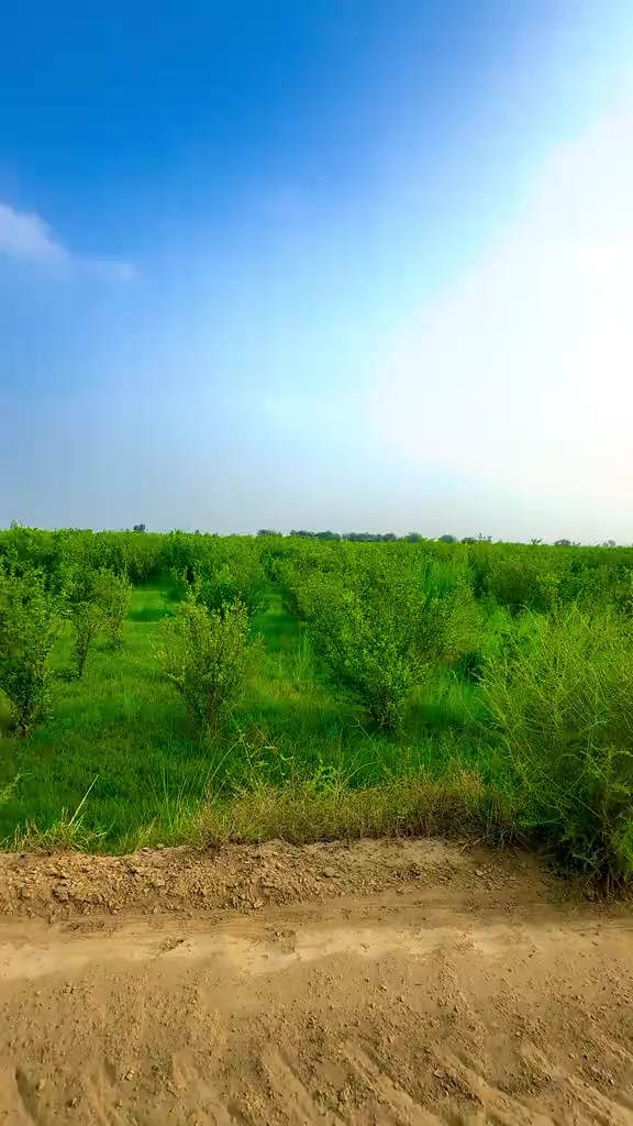 @mazhar Iqbal layyah wal