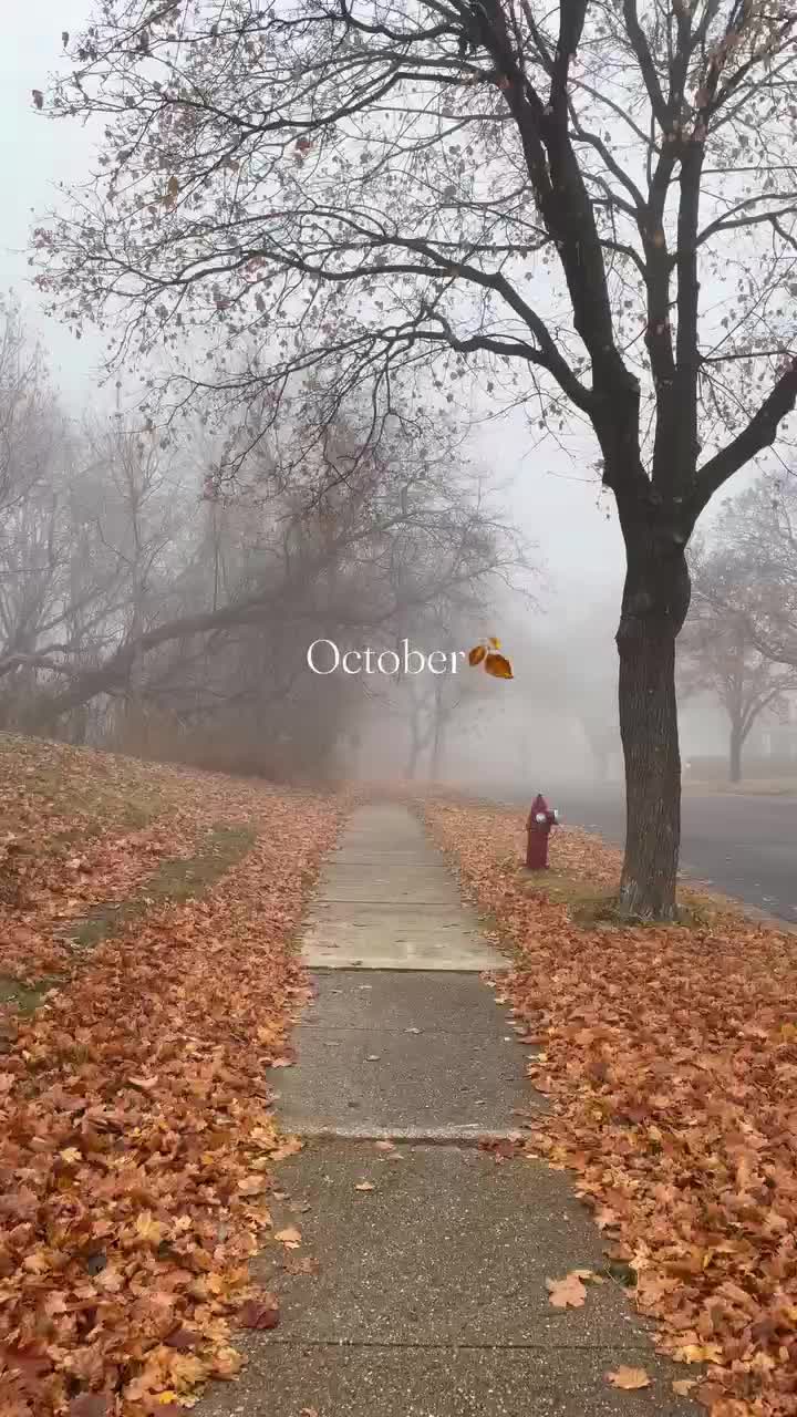 @TammyJo