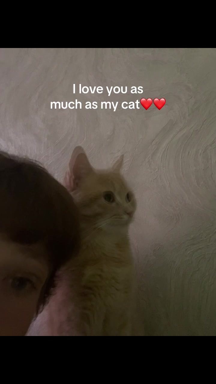 @кунилингус🩸