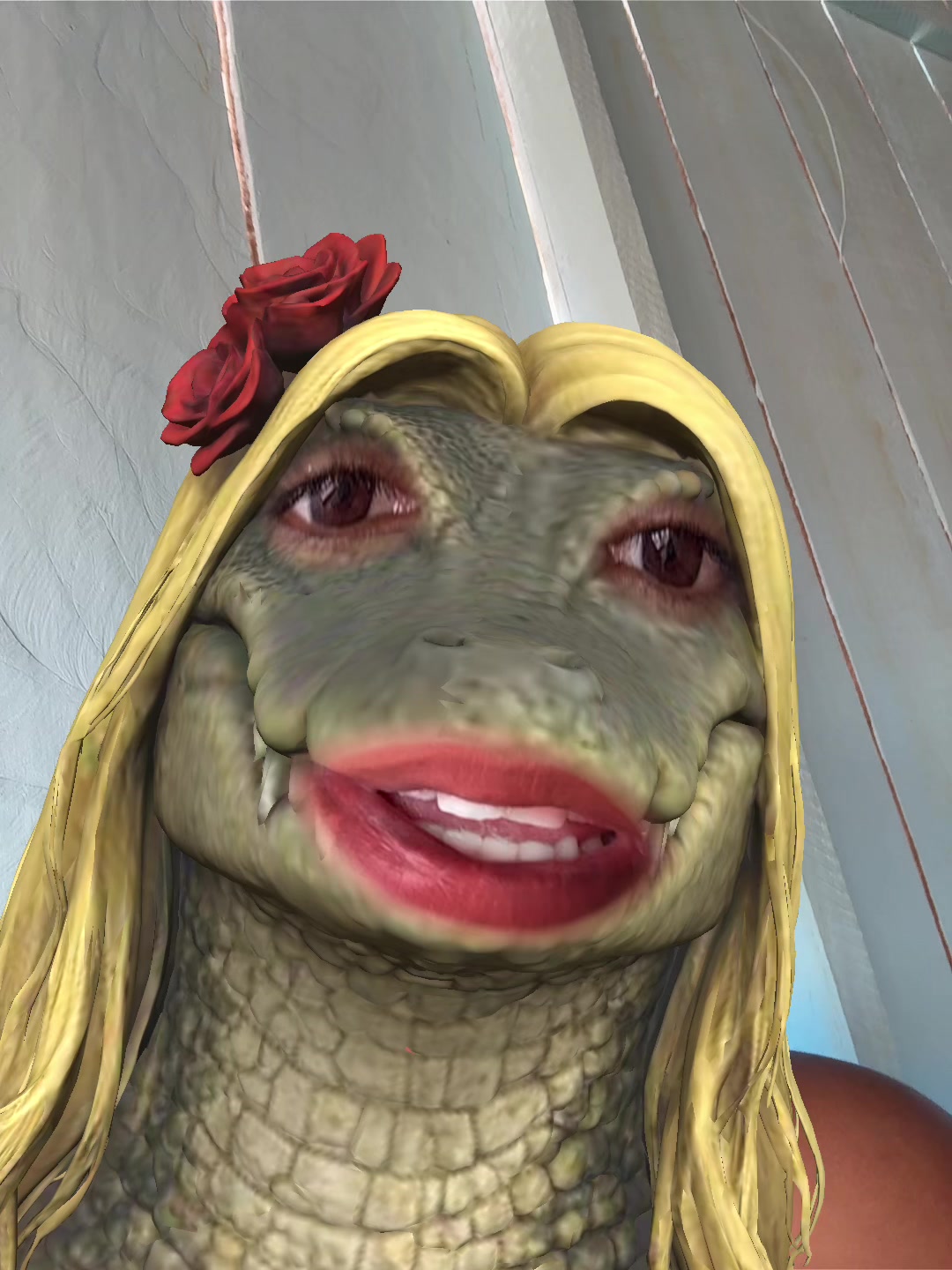 @cuca_da_mata