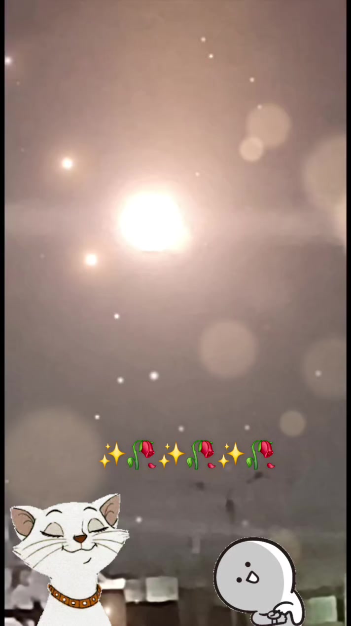 @𑁍〪〫⃕͜ൣ᭄⍣ွဳ⃟ꦼ🌹ɳσɾɱเtå🌹⍣ွဳ⃟ꦼ