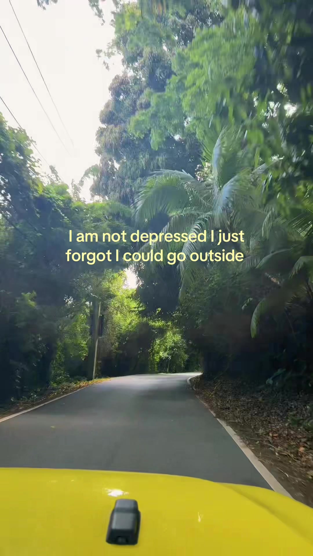 @Lea Landaverde