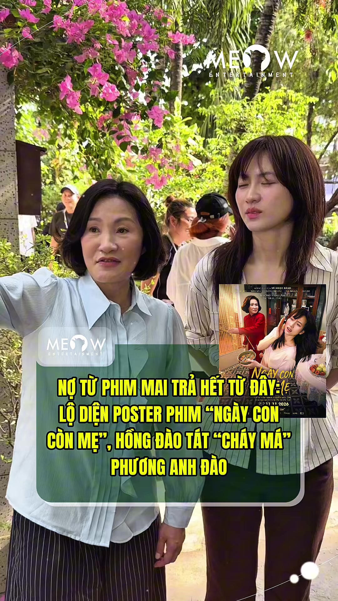 @MEOW ENTERTAINMENT