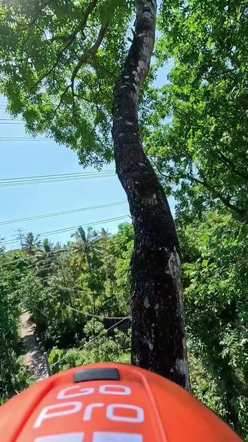 @Yulianto
