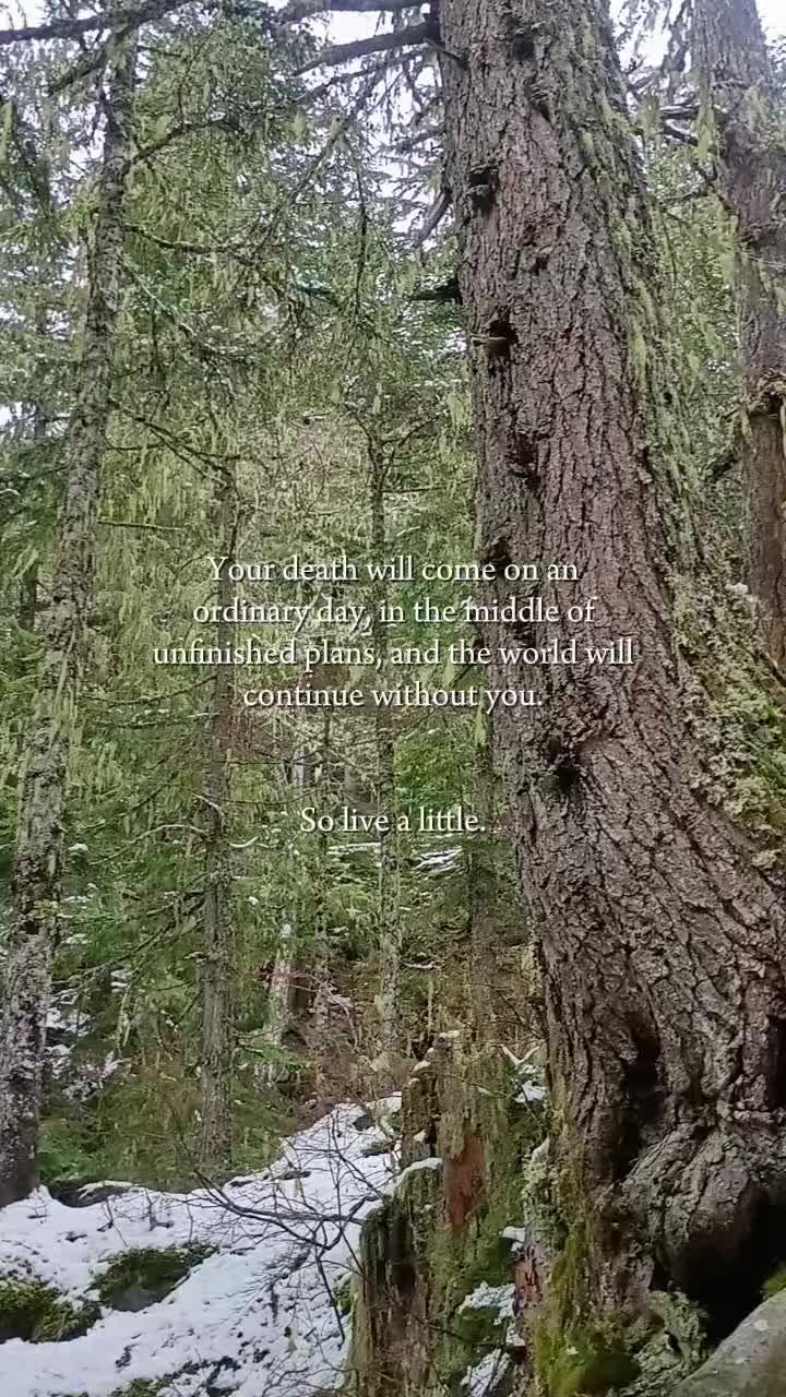 @Humbled.me 🌲PNW Gardener