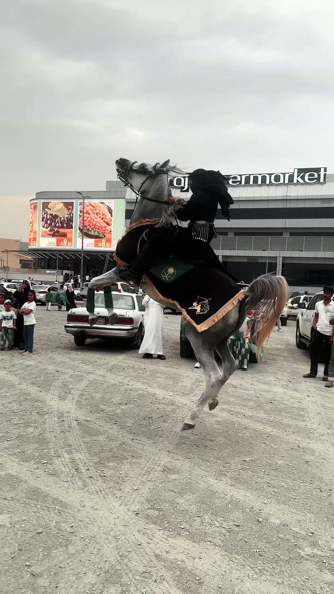@ميكاسَا العَرب 🌟
