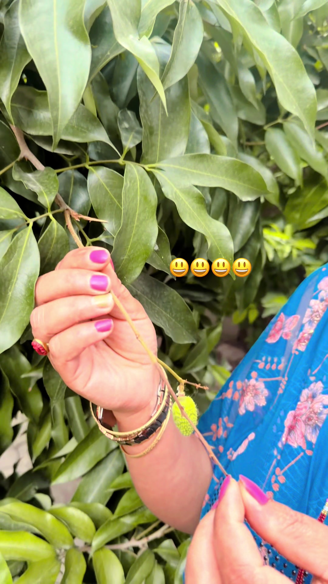 @Ambika Bhandari Boha