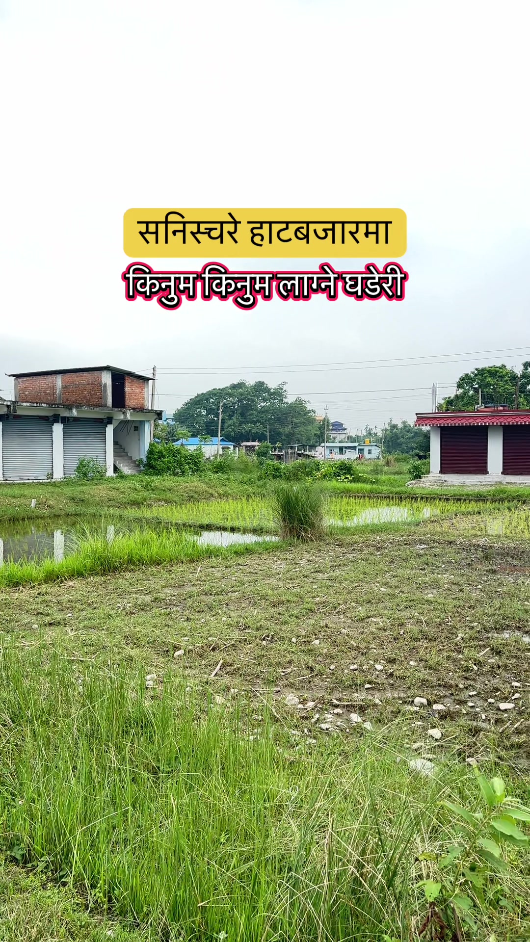 @Maikal ghar jagga