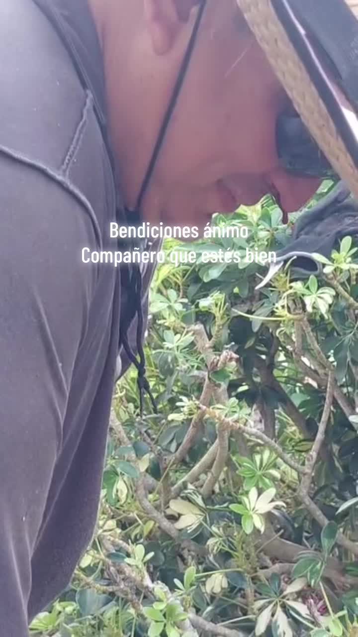 @teresitacastaneda01