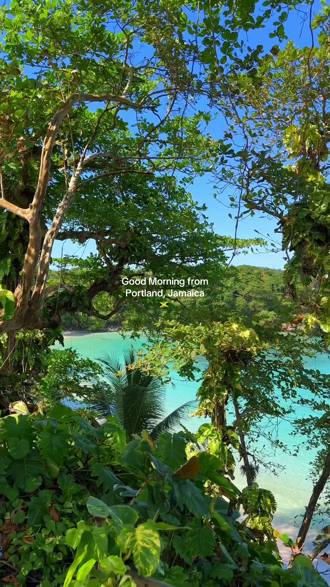 @Justin 🇯🇲