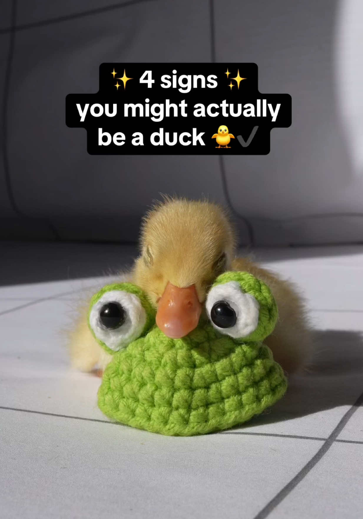 @ducks_in_space🪿🪿💦