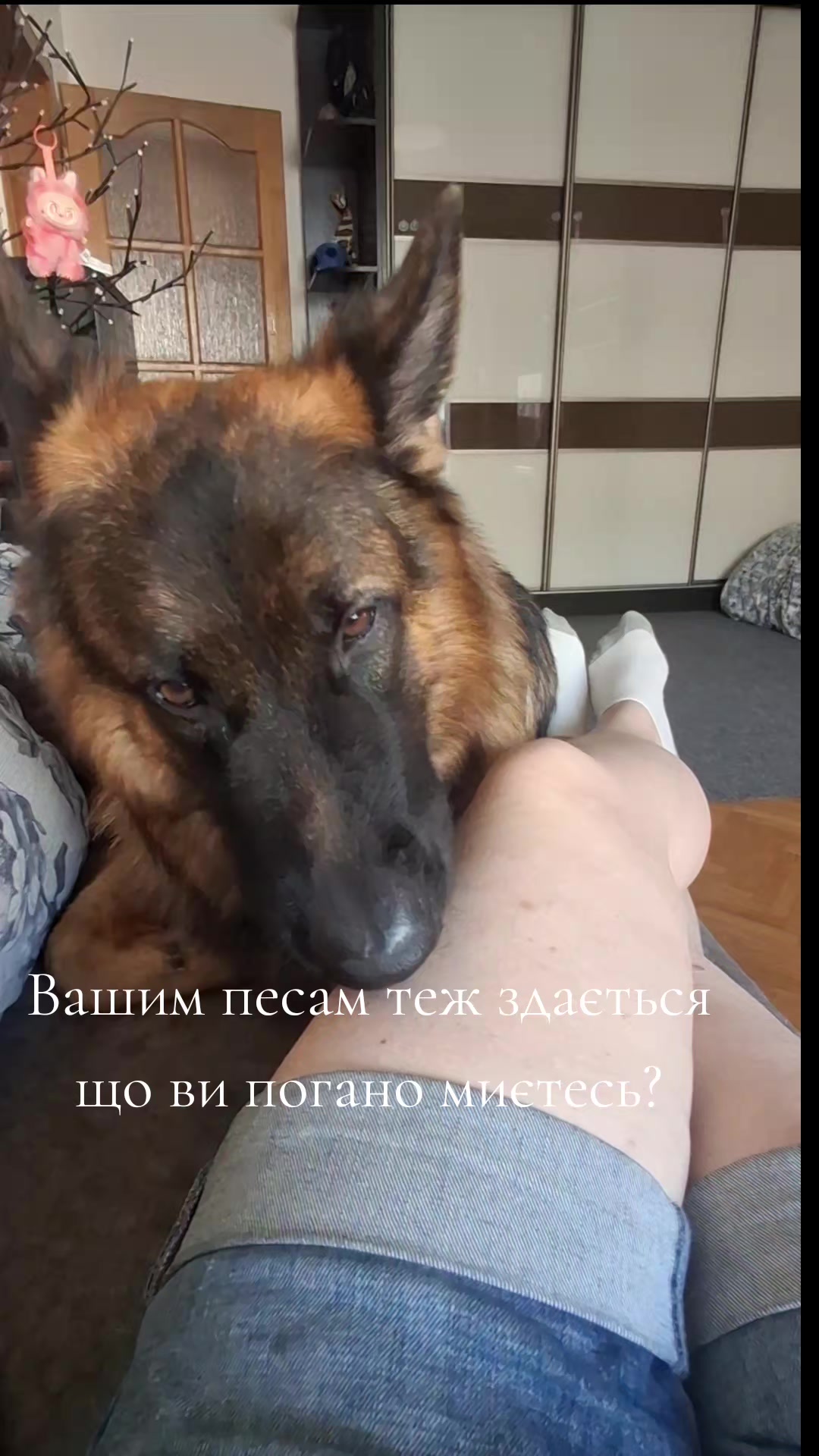 @МАТЬ ДРАКОНІВ🤣