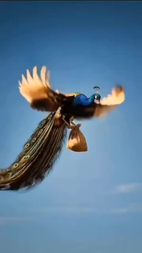 @KamalaRaj