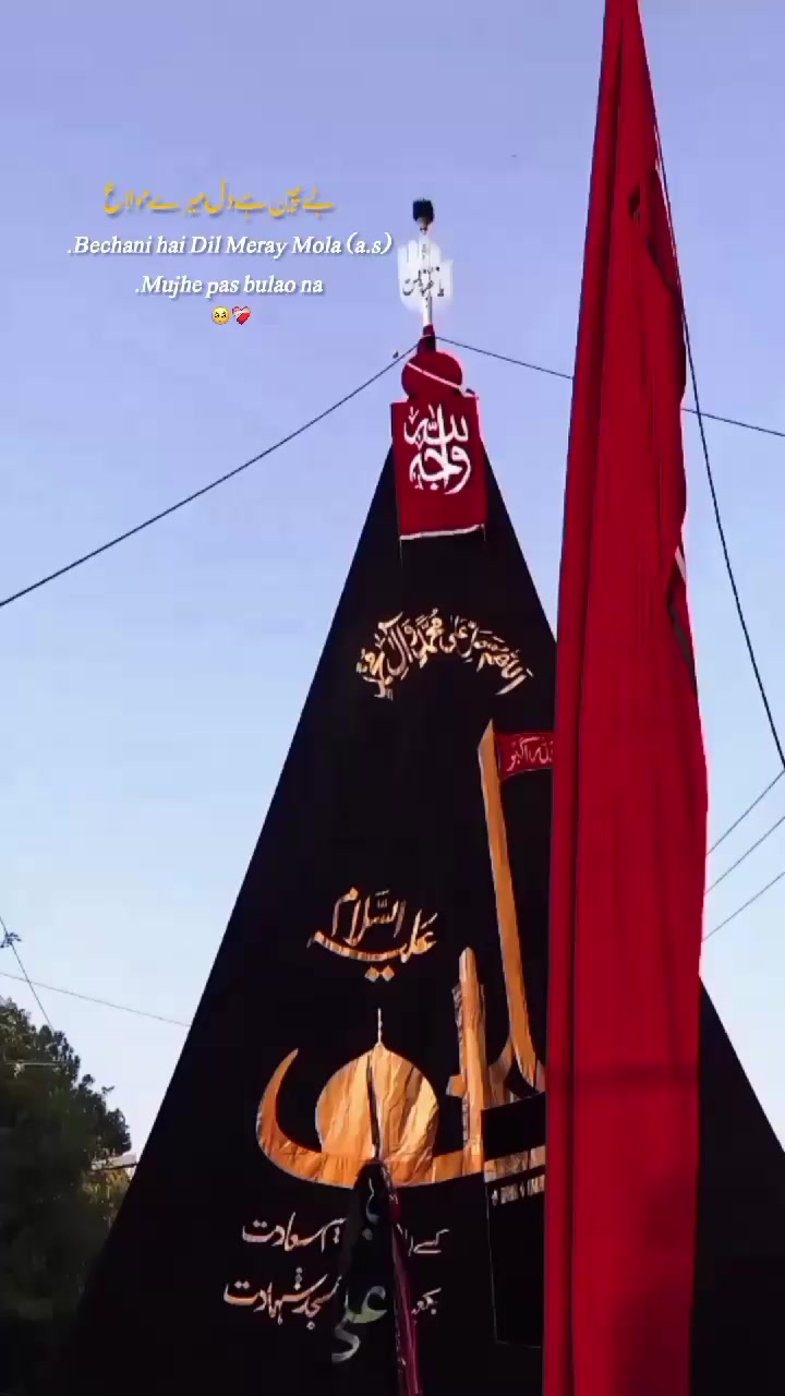 @𝓐𝓵𝓲 𝓦𝓻𝓲𝓽𝓮𝓼 ٣١٣