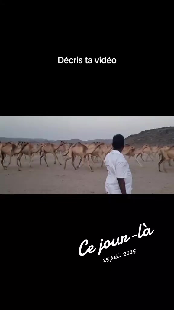 @chekgoogle1