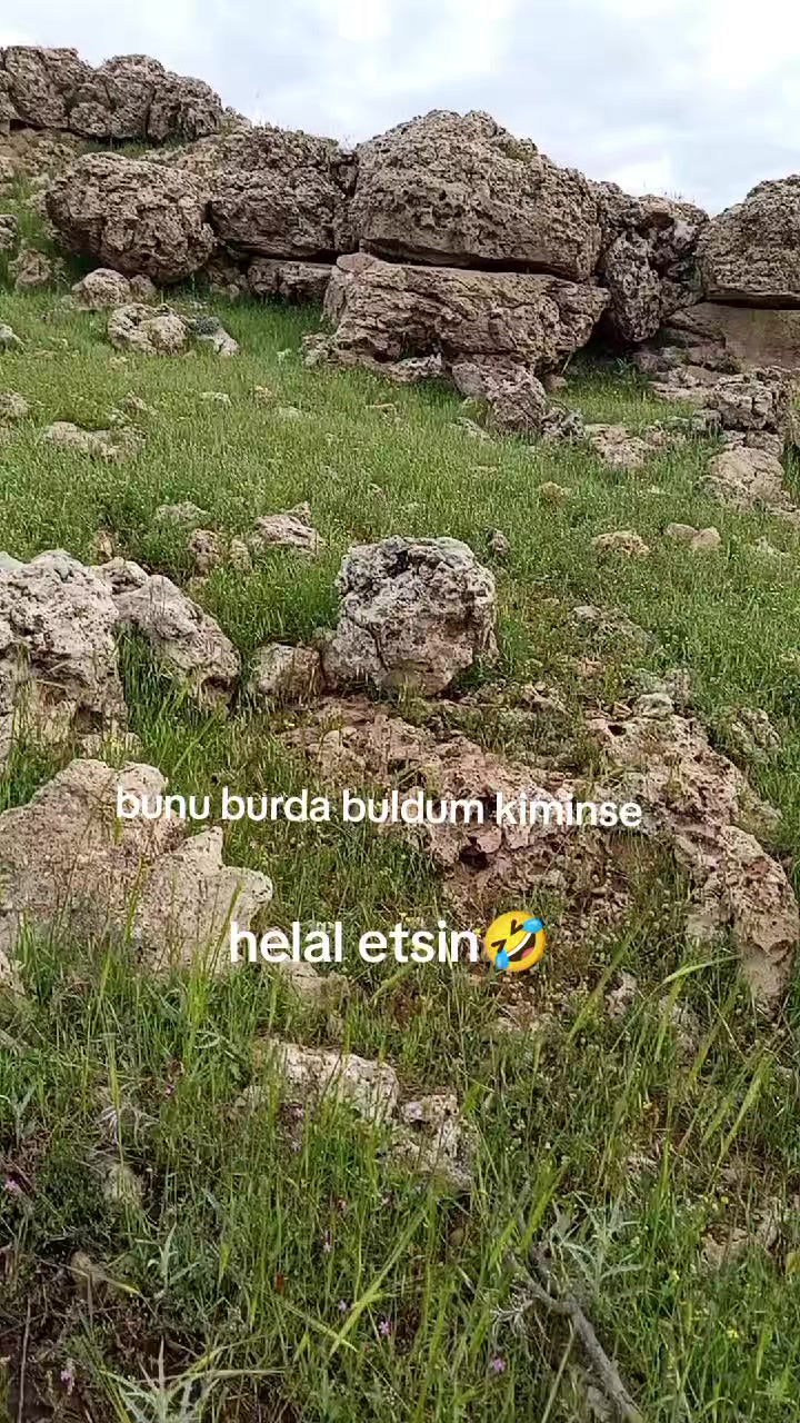 @hebun zınar