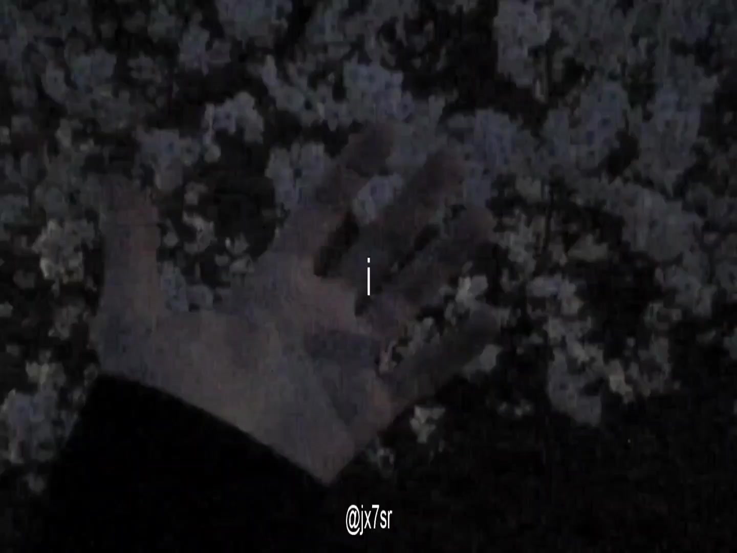 @h4untweb