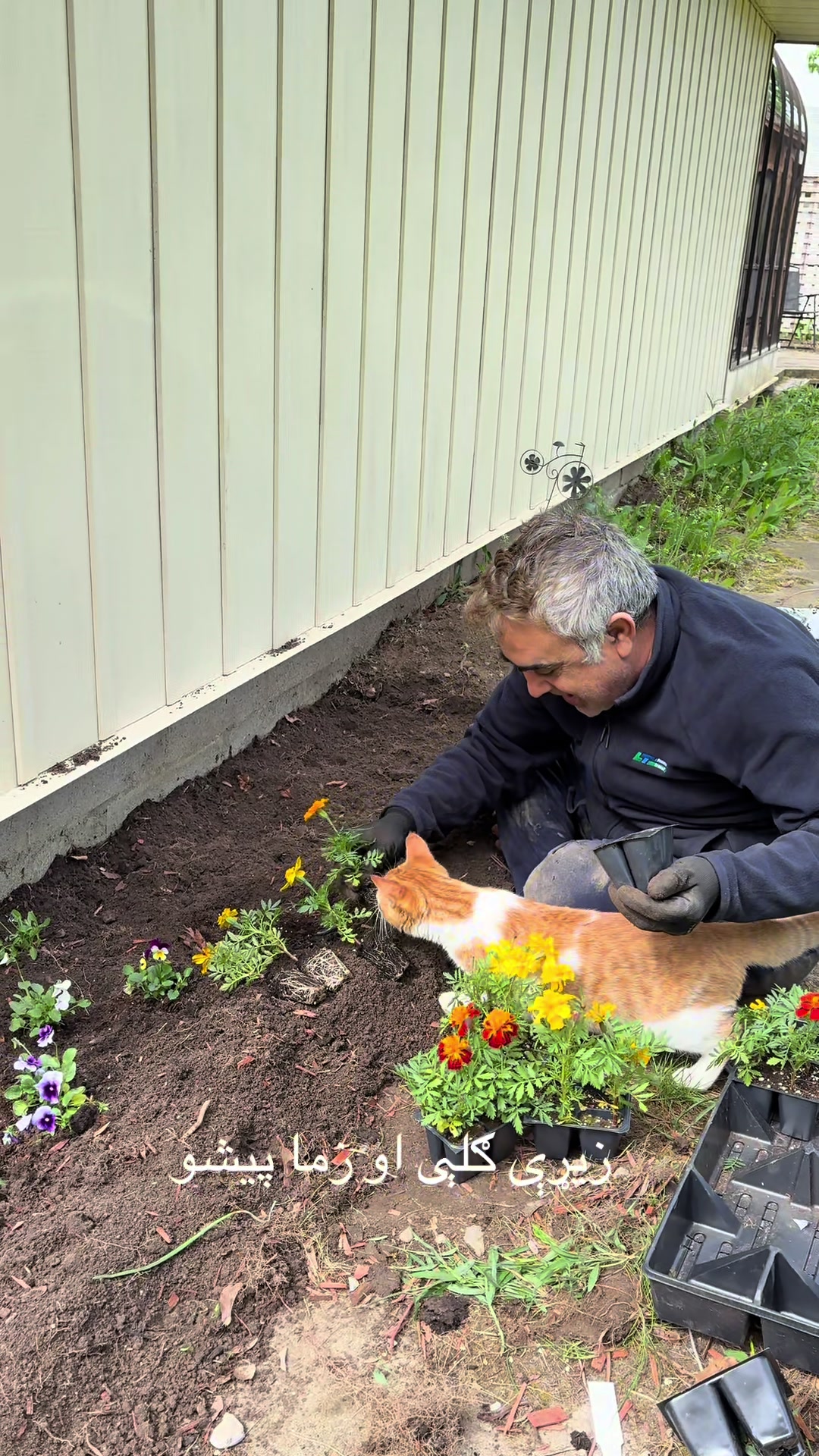 @Noor sabir sabarai