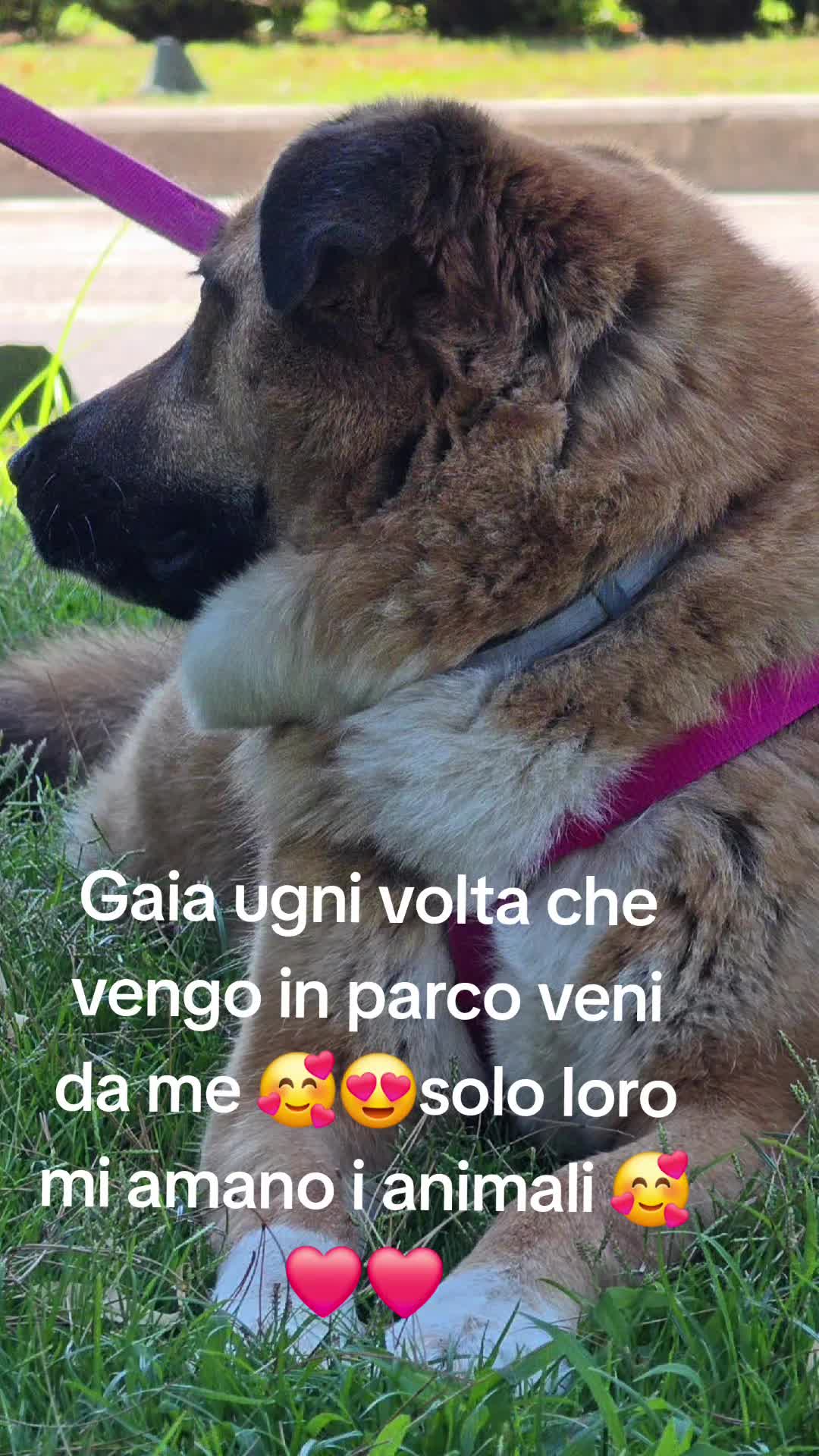 @annastella