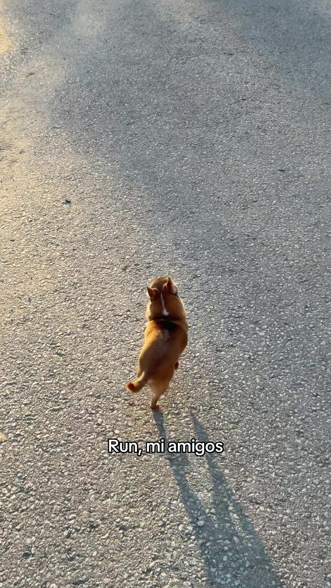 @finonka