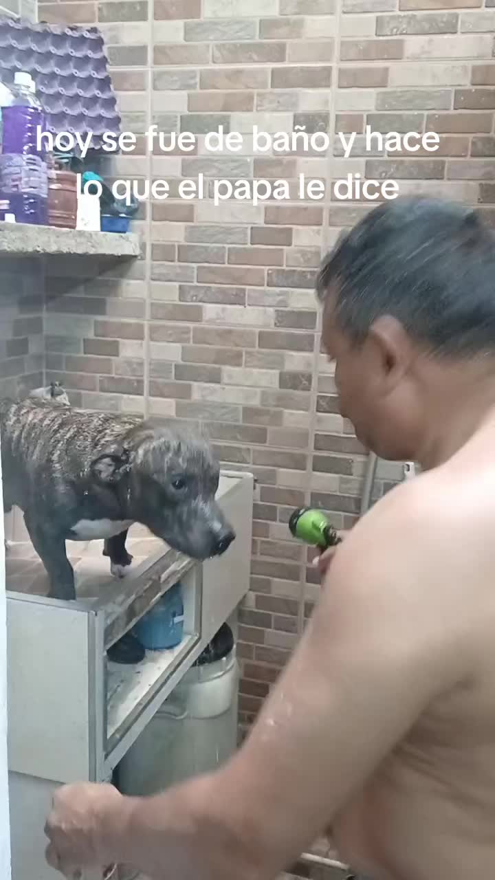 @dulce luna