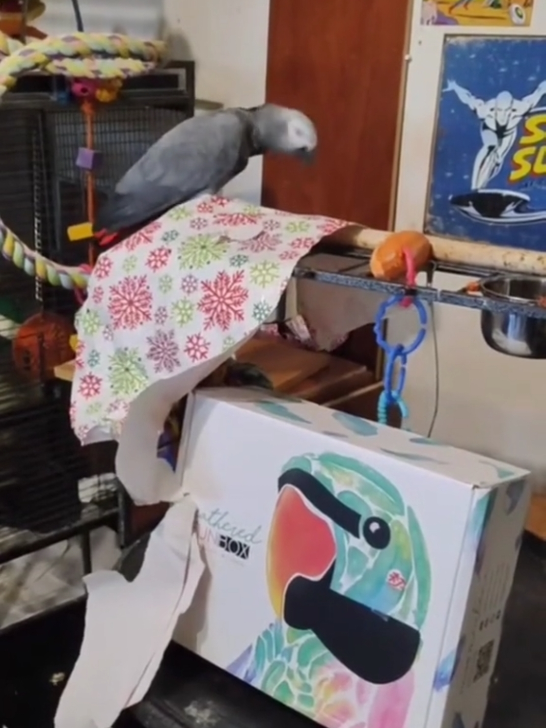 @QbertBird🦜👀