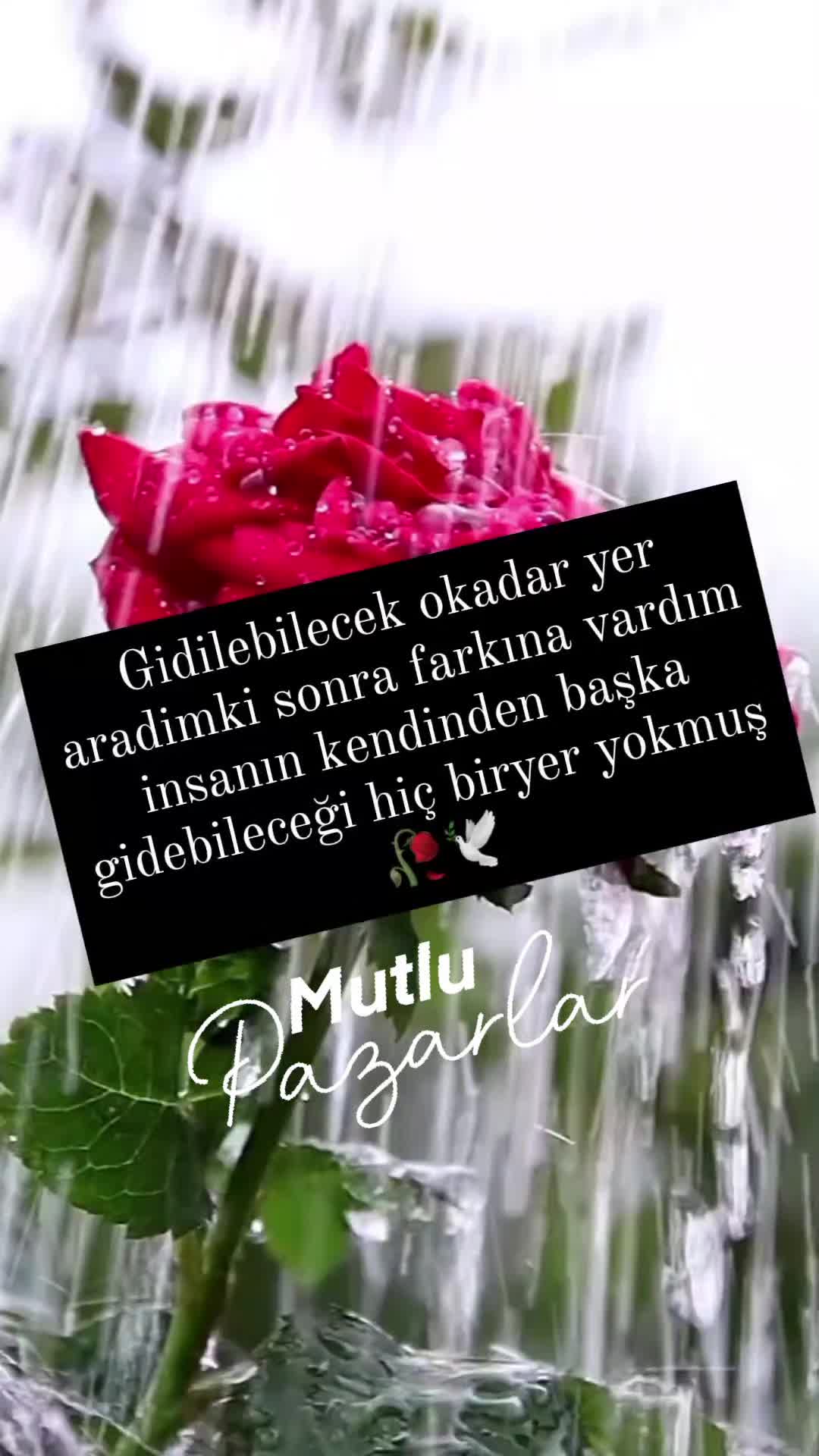 @Murat 💛10💙