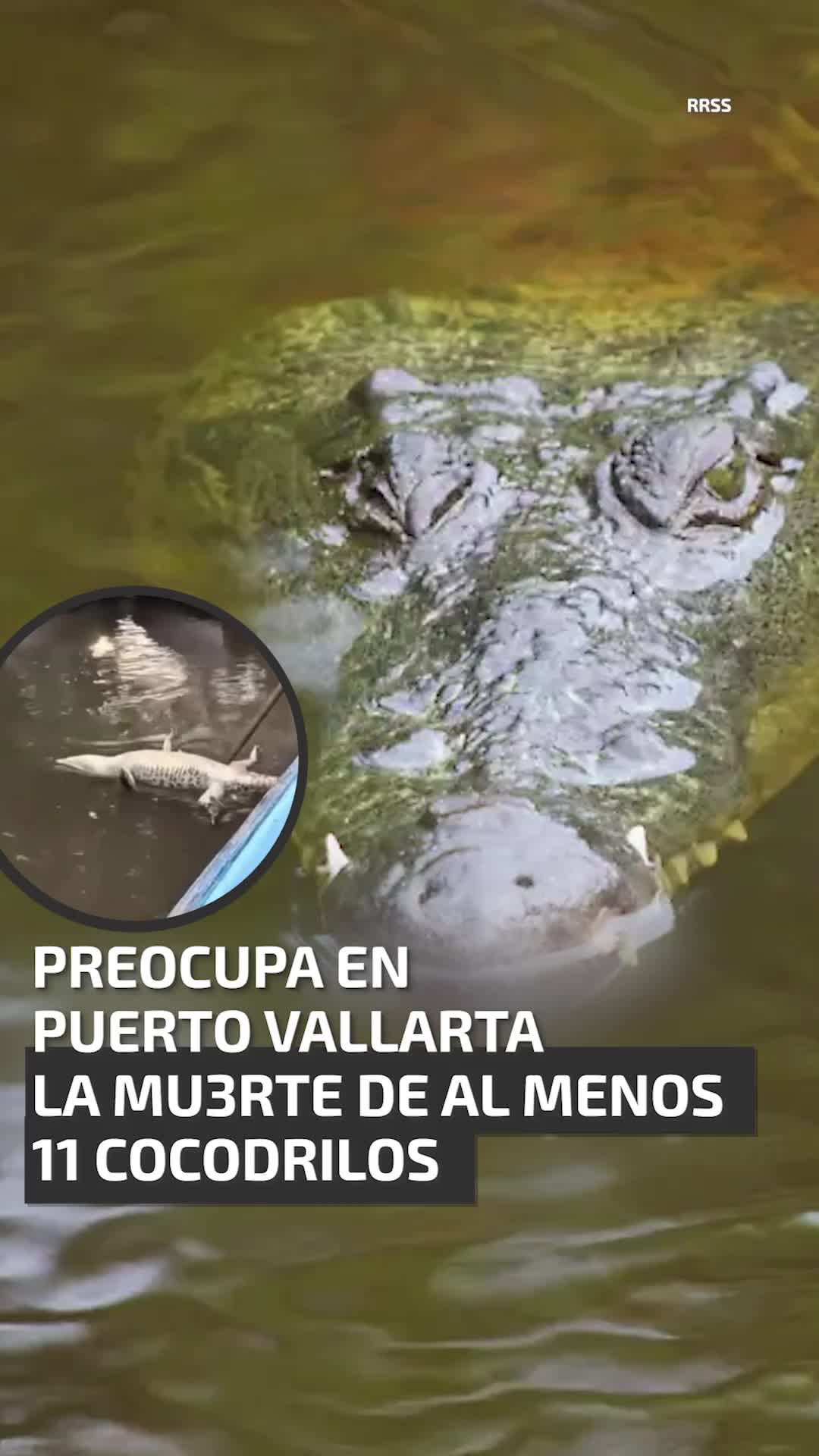 @UnoTV