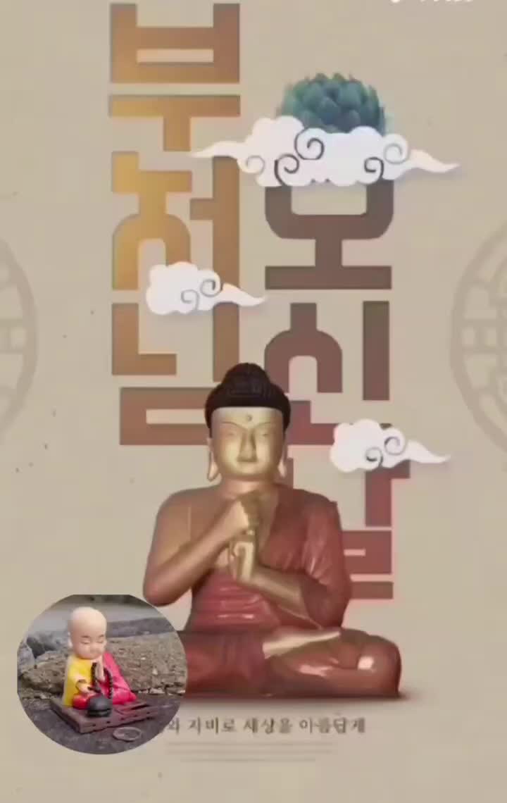 @íìí ð ë¹ì ì í룚륌 ìì ì£Œê³ ì¶ìŽìã