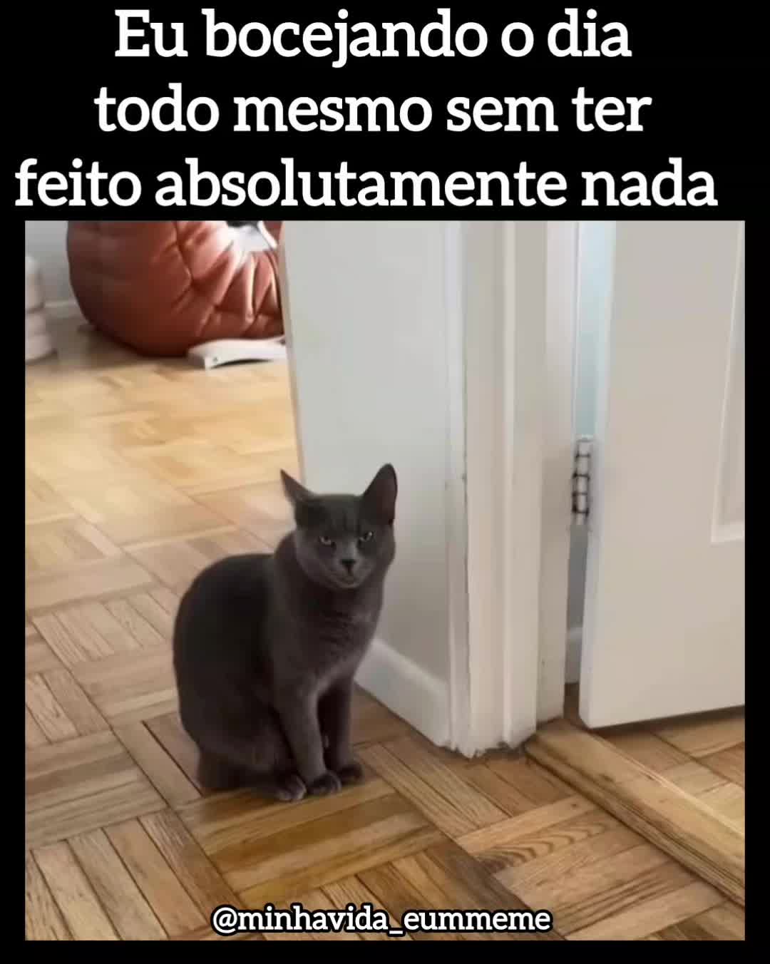 @"MINHA VIDA É UM MEME"