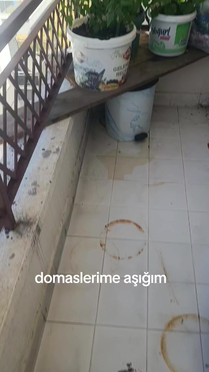 @zalimin kızı 06
