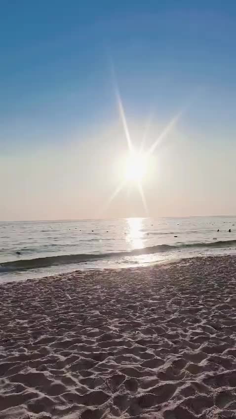 @habob_habob