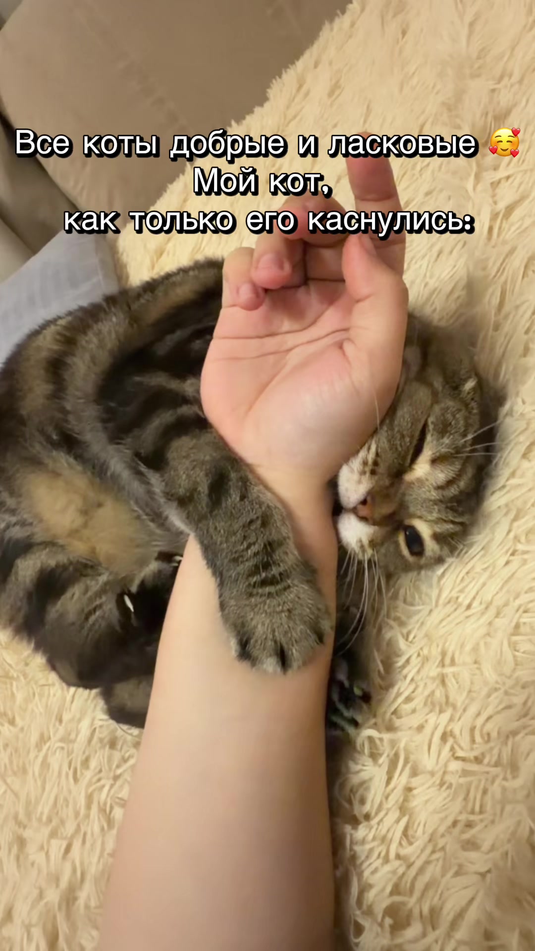 @𝑎𝑙𝑖𝑛𝑘𝑠