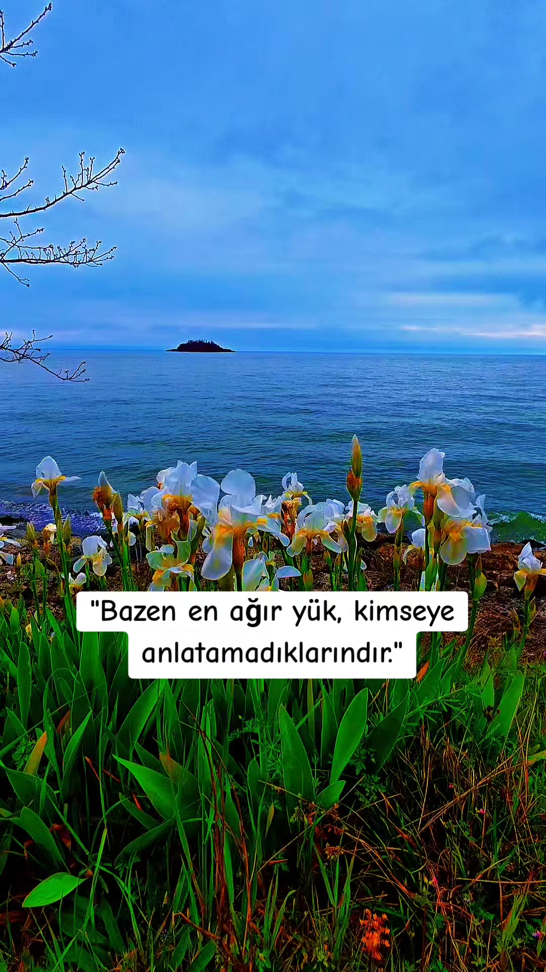 @Deniz Yıldızı
