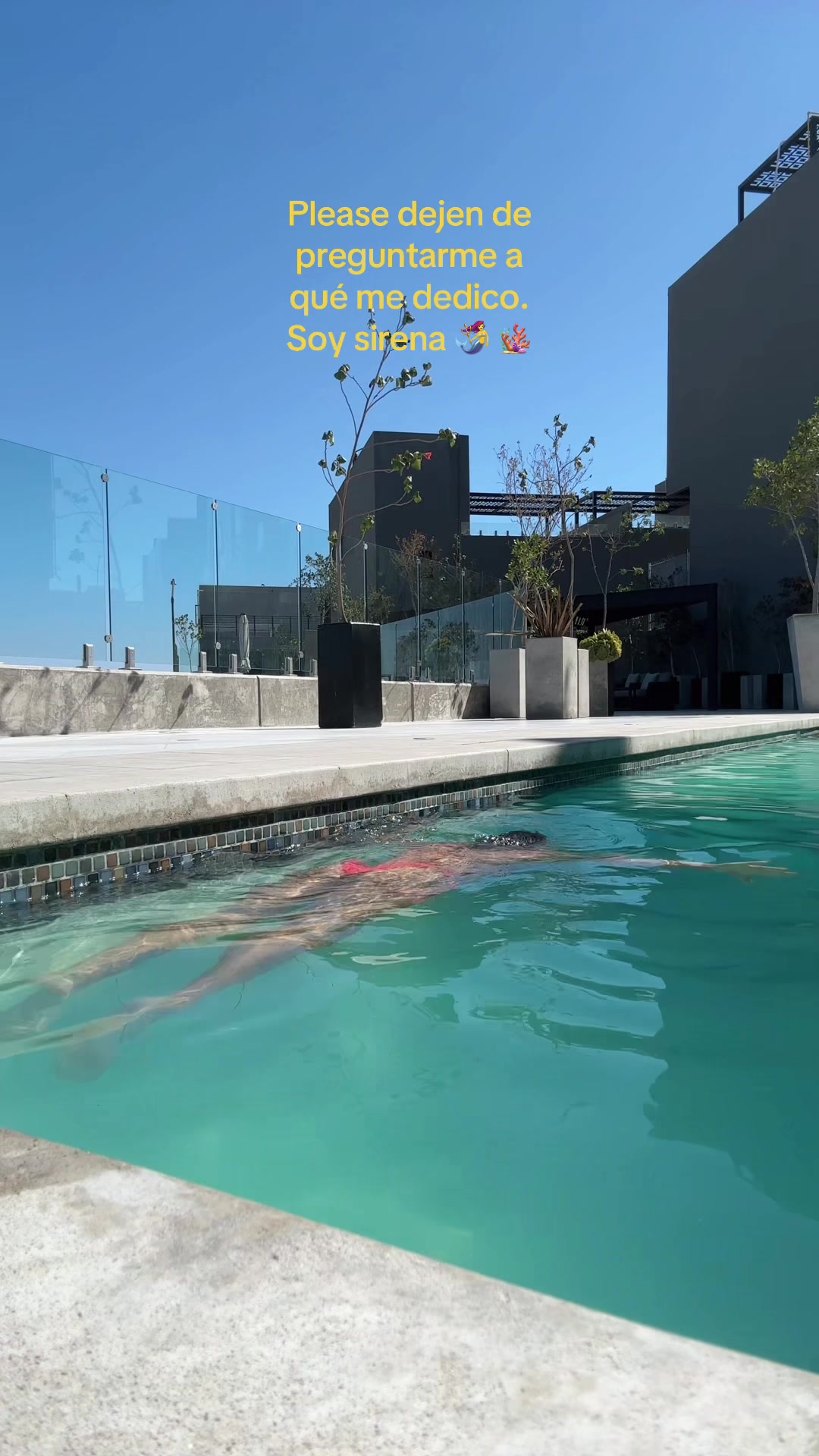 @lareeyis