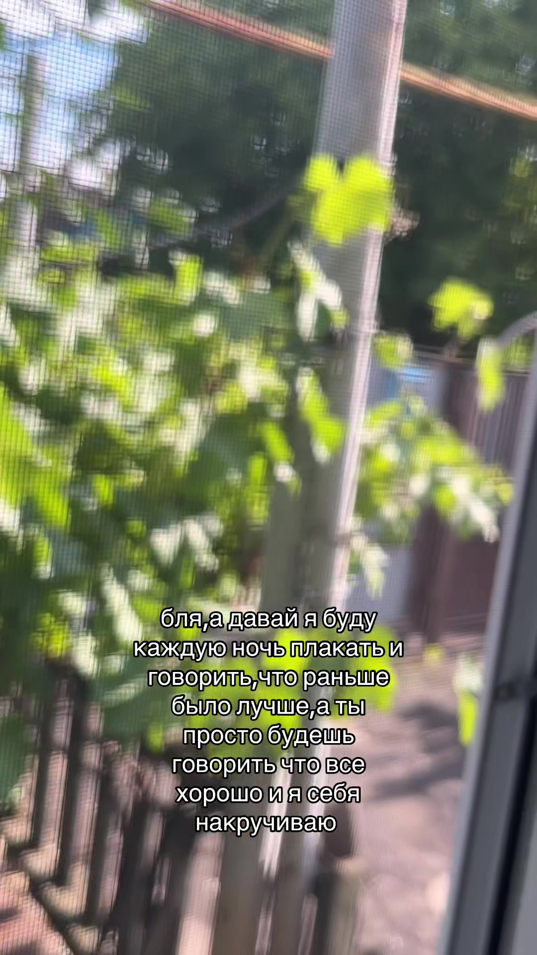@полиша любимая*