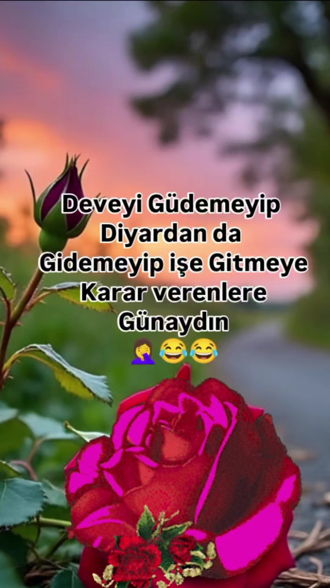 @nur şimşek