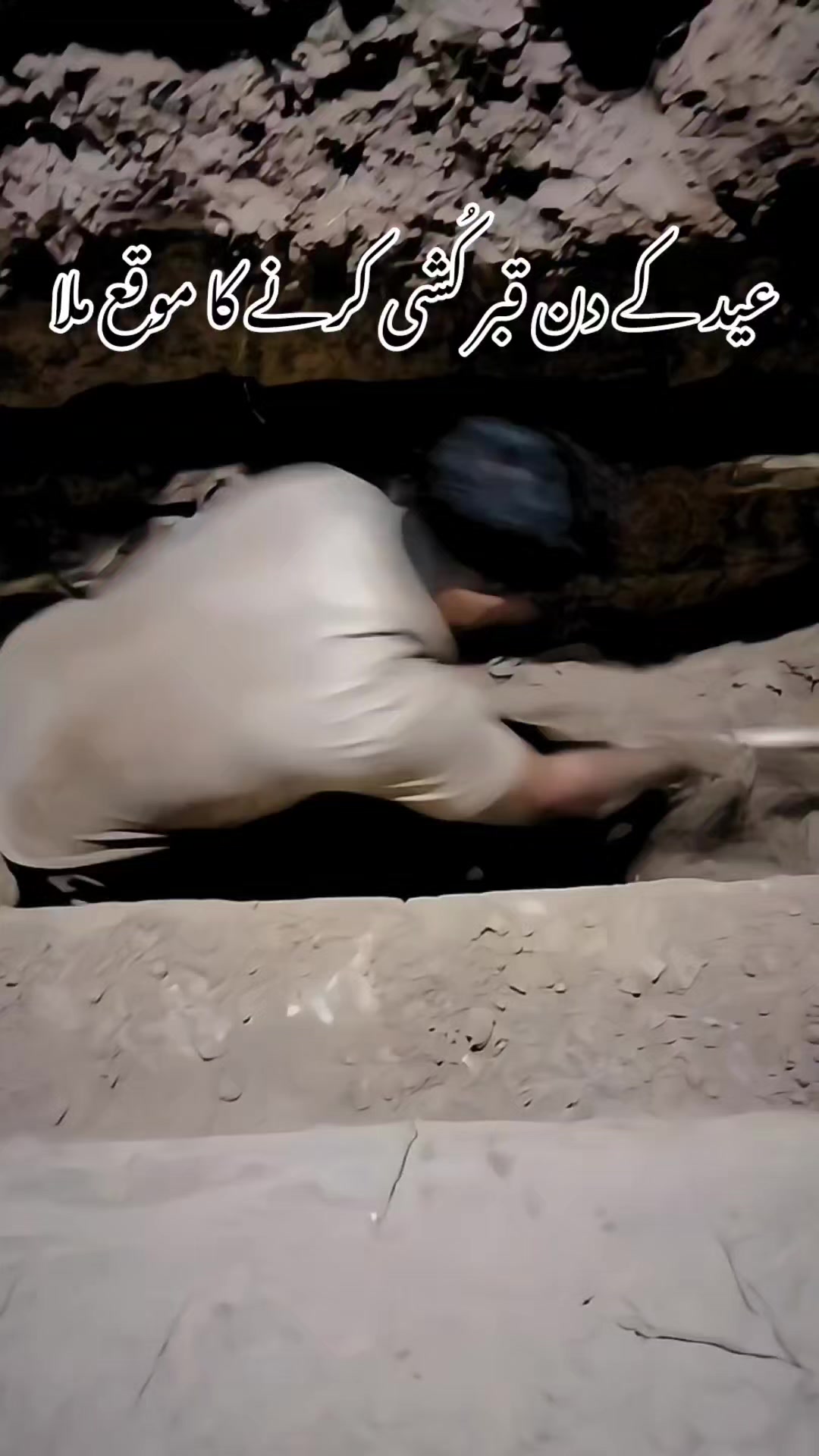@🦁میاں اُسامہ 🦁