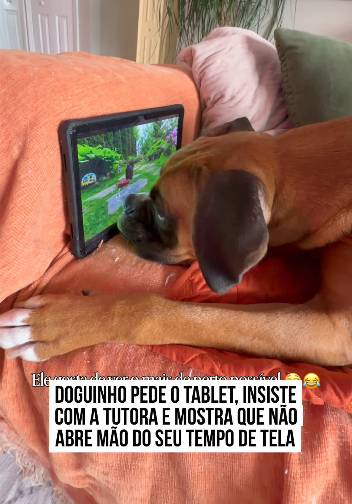 @Metr&oacute;poles Oficial