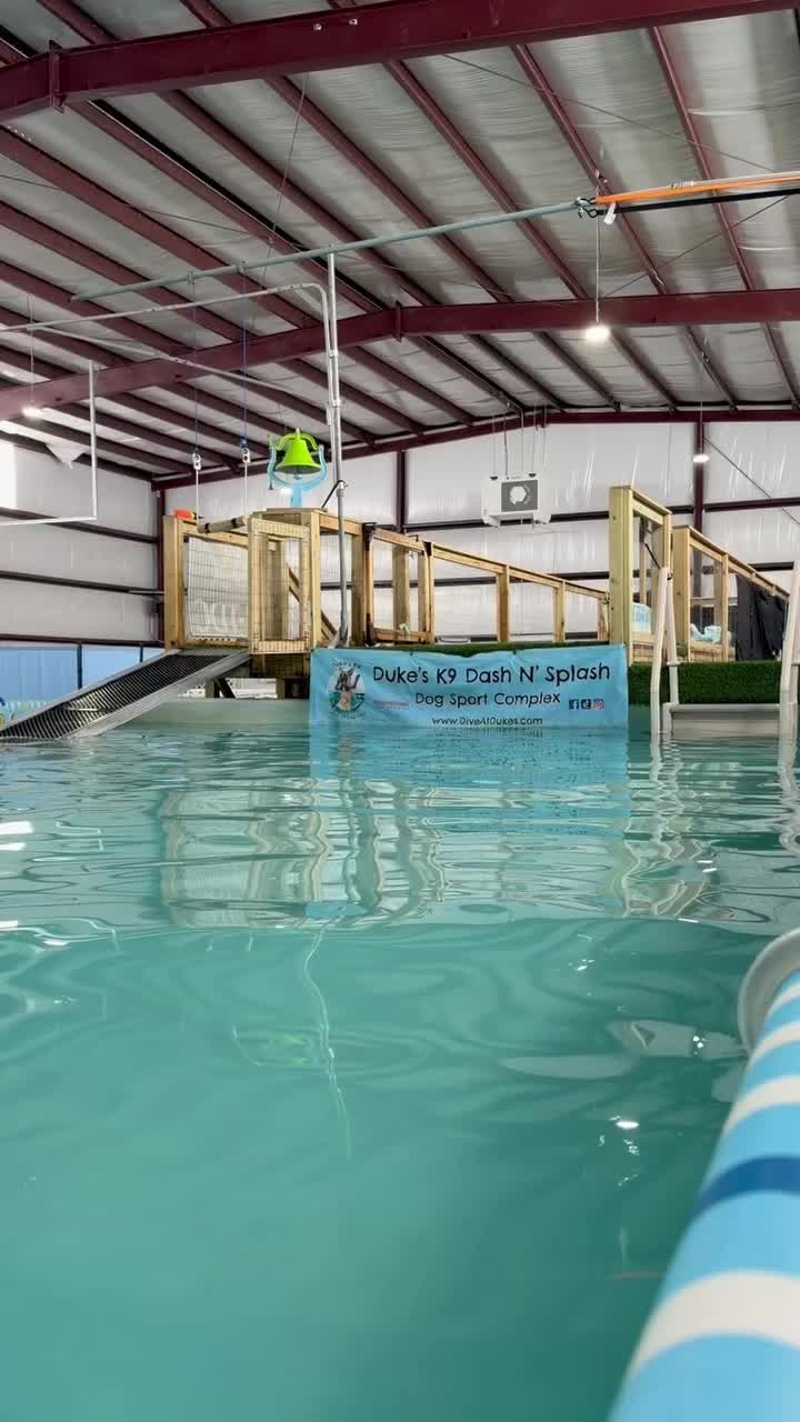 @Dukes K9 Dash n Splash