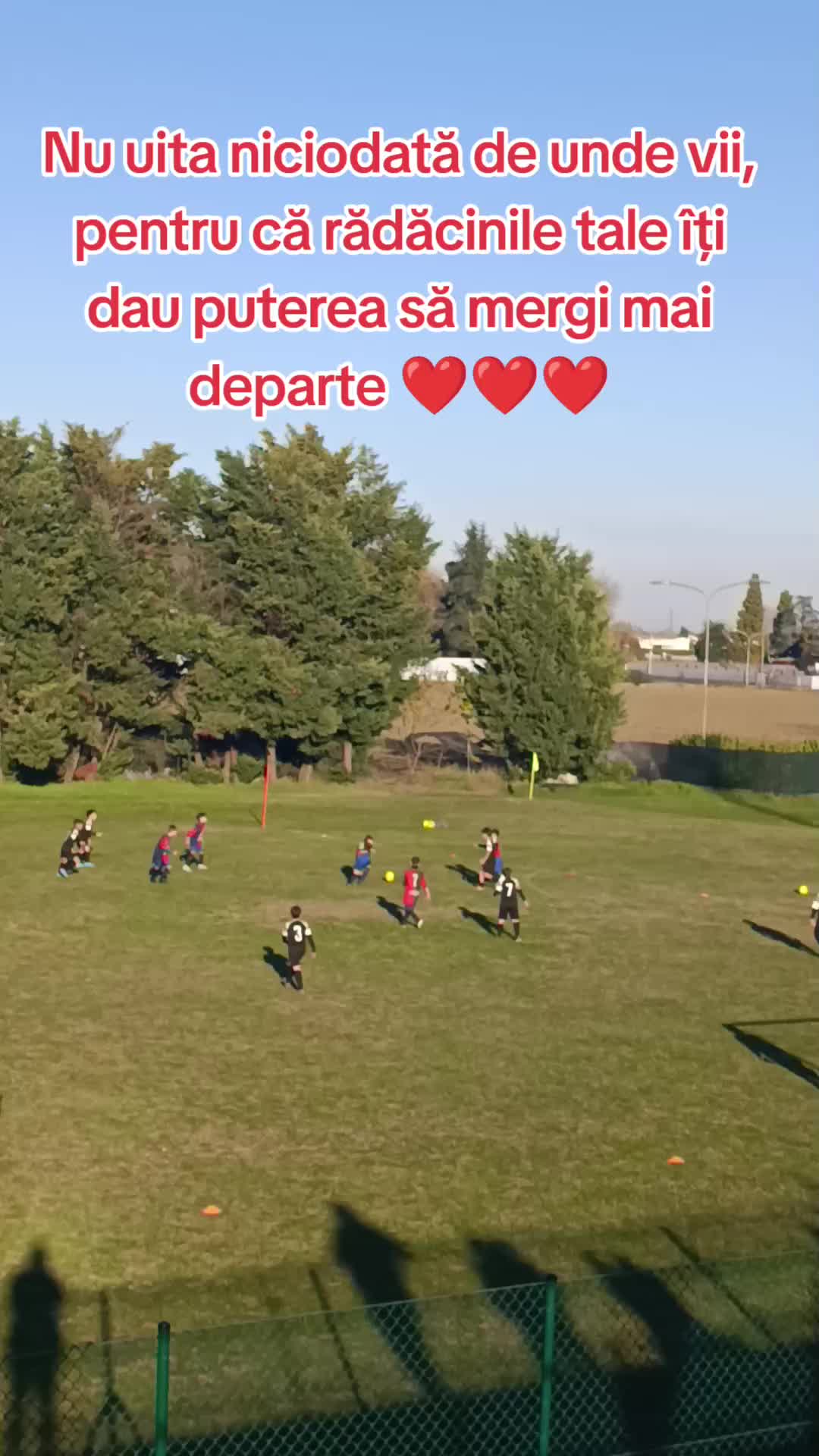@Ala Bucur