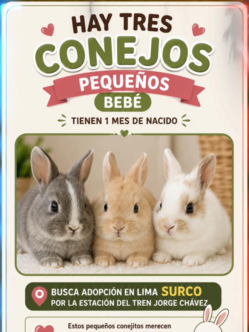 @Perritos Voladores