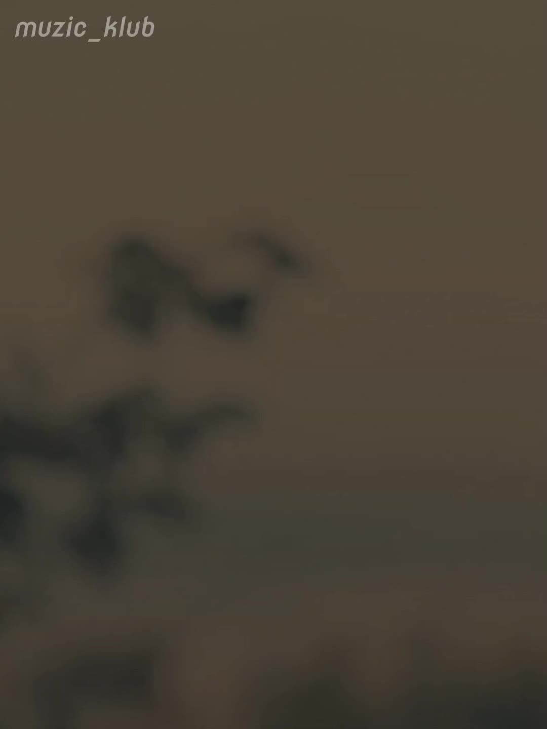 @-𝑴𝒖𝒛𝒊𝒄_𝒌𝒍𝒖𝒃🦅