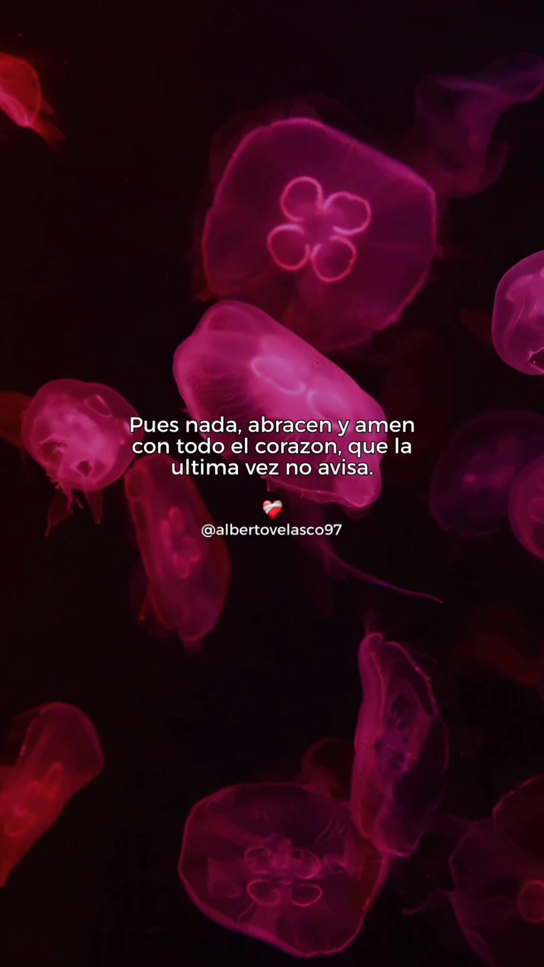 @Alberto Velasco