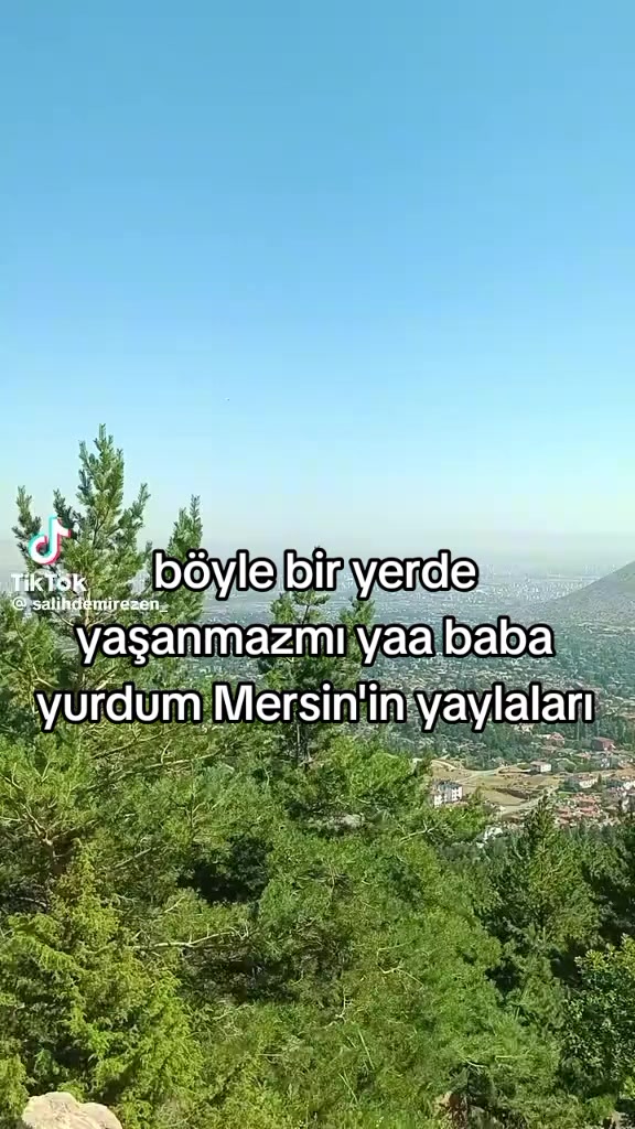 @muzo_dayi1961