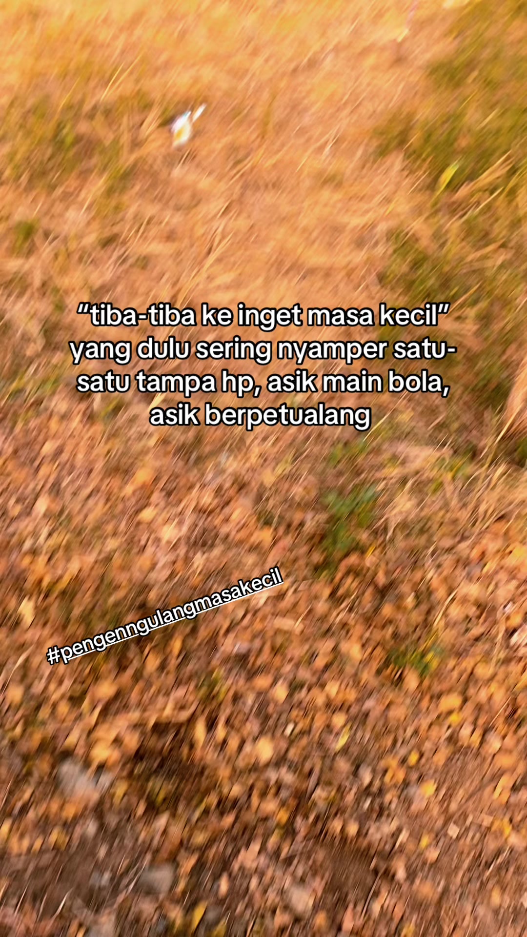 @Rizki
