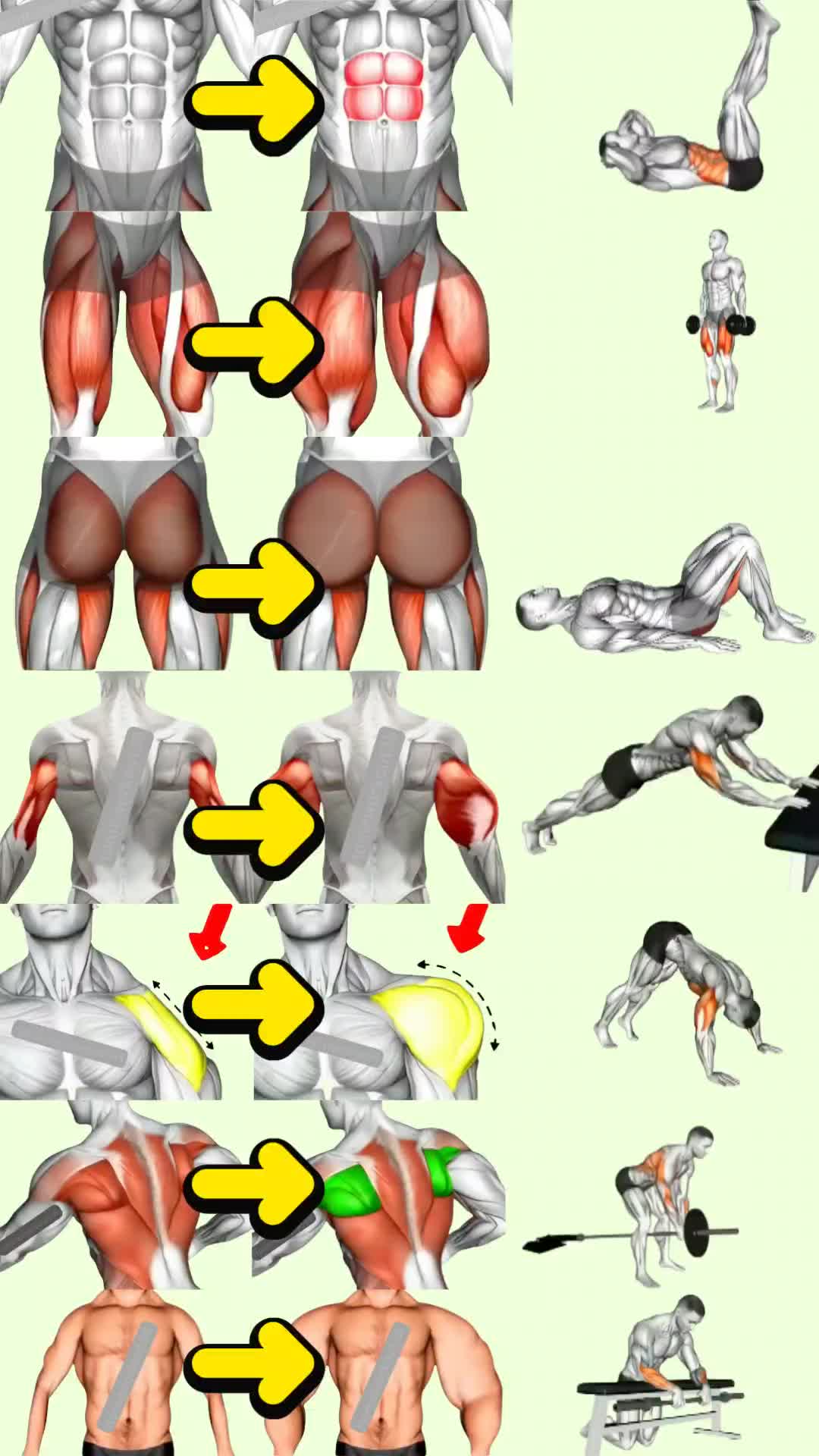 @HOMEWORKOUT