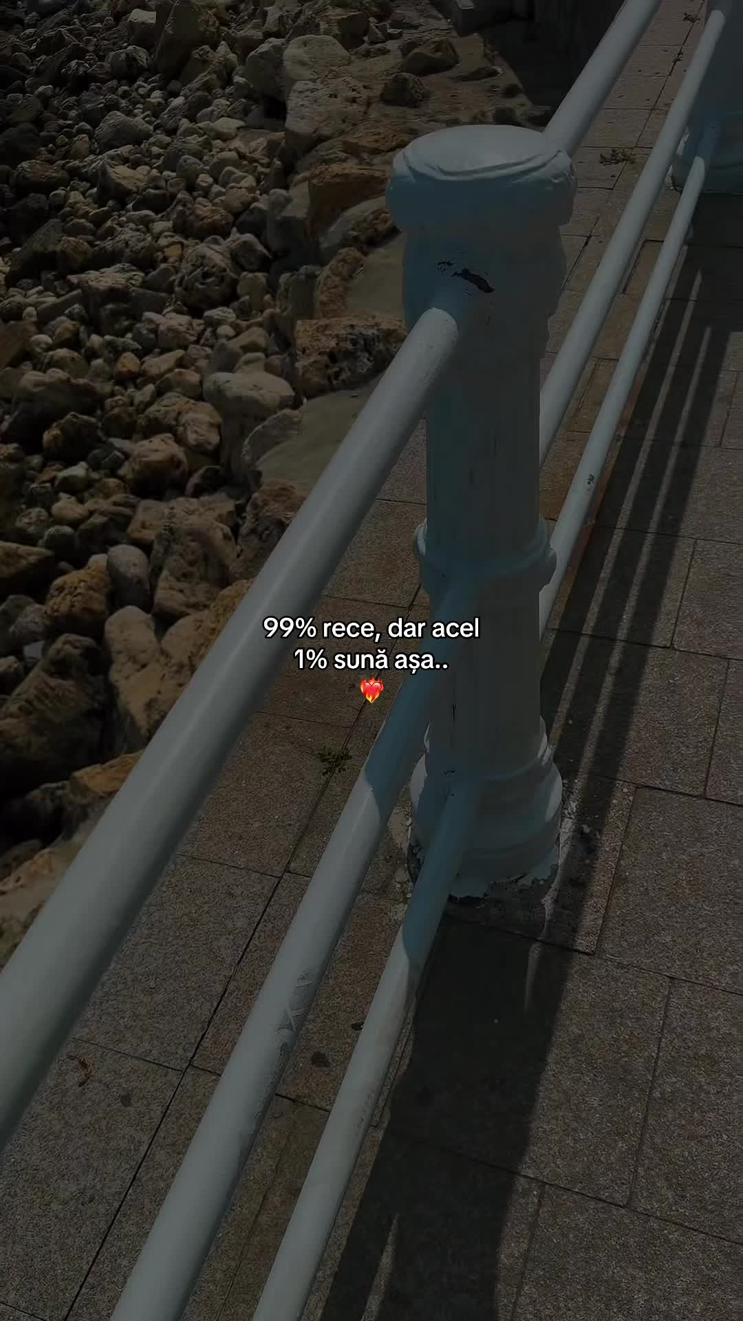 @Elisa A🥥